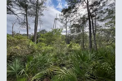 Lot 5 W Okeechobee, Santa Rosa Beach, FL 32459 - Photo 12