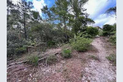 Lot 5 W Okeechobee, Santa Rosa Beach, FL 32459 - Photo 10