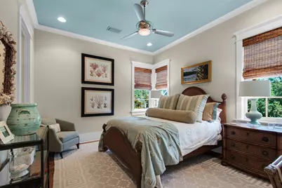 9 Tidepool Lane, Inlet Beach, FL 32461 - Photo 50