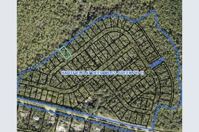 249 Foxglove Run, Niceville, FL 32578 - Photo 2