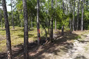 Lot 4 Foxmire Farm Rd, Santa Rosa Beach, FL 32459 - Photo 10