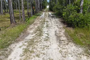 Lot 4 Foxmire Farm Rd, Santa Rosa Beach, FL 32459 - Photo 4