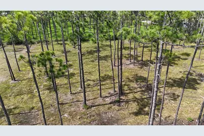 Lot 5 Foxmire Farm Road, Santa Rosa Beach, FL 32459 - Photo 6