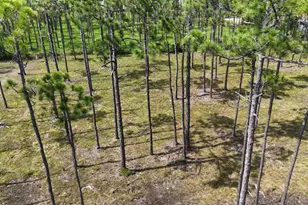 Lot 5 Foxmire Farm Rd, Santa Rosa Beach, FL 32459 - Photo 6