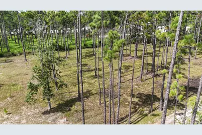 Lot 5 Foxmire Farm Road, Santa Rosa Beach, FL 32459 - Photo 10