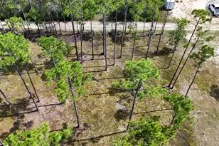 Lot 5 Foxmire Farm Rd, Santa Rosa Beach, FL 32459 - Photo 2