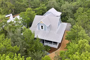 385 Wilderness Way, Santa Rosa Beach, FL 32459 - Photo 46