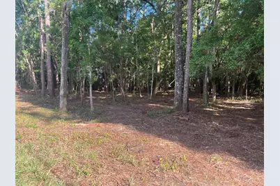 Tbd Sparkleberry Lane, Freeport, FL 32439 - Photo 26