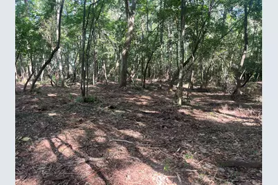 Tbd Sparkleberry Lane, Freeport, FL 32439 - Photo 30