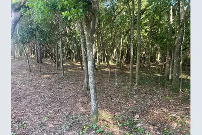 Tbd Sparkleberry Lane, Freeport, FL 32439 - Photo 26