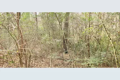 00 NE Second Avenue, Crestview, FL 32539 - Photo 18