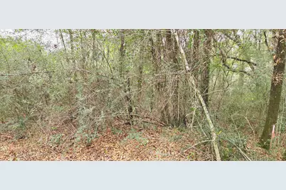 00 NE Second Avenue, Crestview, FL 32539 - Photo 6