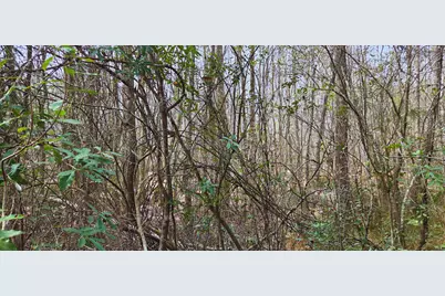 00 NE Second Avenue, Crestview, FL 32539 - Photo 2