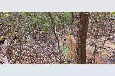 00 NE Second Avenue, Crestview, FL 32539 - Photo 16