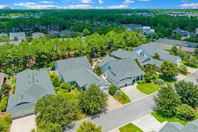 76 Jack Knife Drive, Inlet Beach, FL 32461 - Photo 38