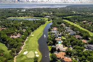 3290 Burnt Pine Ln, Miramar Beach, FL 32550 - Photo 54