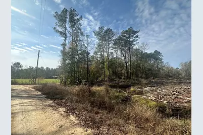 Tract#6331 Sellers Road, Bonifay, FL 32425 - Photo 4