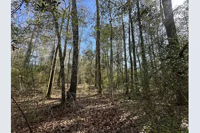 Tract#6317 Harris Stevenson Road, Bonifay, FL 32425 - Photo 8