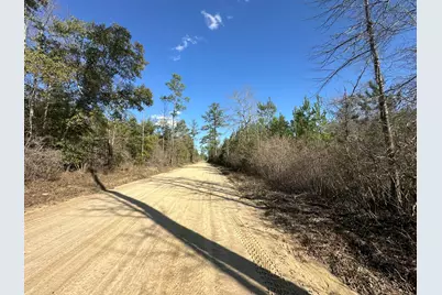 Tract#6317 Harris Stevenson Road, Bonifay, FL 32425 - Photo 16