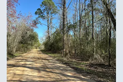 Tract#6317 Harris Stevenson Road, Bonifay, FL 32425 - Photo 2