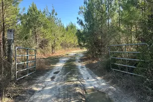 Tract#6317 Harris Stevenson Rd, Bonifay, FL 32425 - Photo 1
