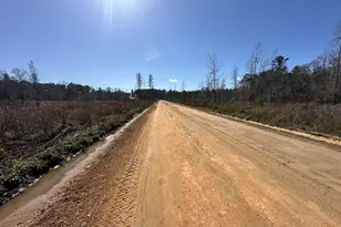 Tract#6402 N Chance Rd, Chipley, FL 32428 - Photo 1