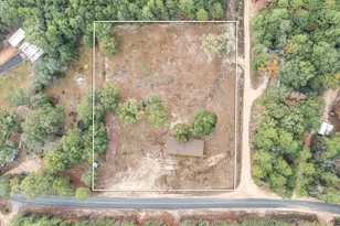 6224 Old River Rd, Baker, FL 32531 - Photo 36