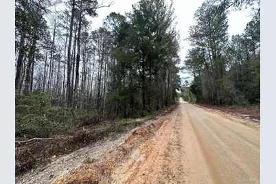 Tract#6418 S Bryant Bay Road, Caryville, FL 32427 - Photo 6