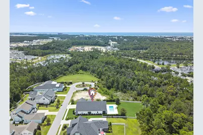 224 Needle Cast Lane, Inlet Beach, FL 32461 - Photo 60
