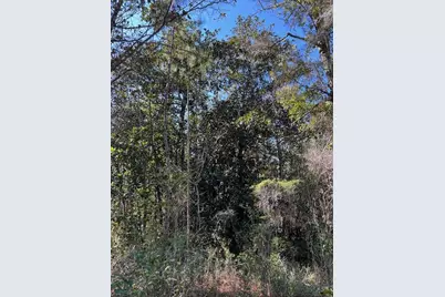 Abc Chat Holley Rd & Harstvedt Rd, Santa Rosa Beach, FL 32459 - Photo 14