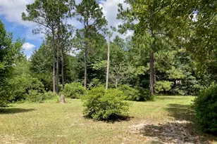 17 Nowling Dr, Defuniak Springs, FL 32433 - Photo 46
