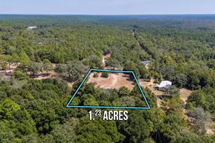 4194 Log Lake Rd, Holt, FL 32564 - Photo 6