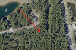 Lot 37 E Captain Fritz Way, Freeport, FL 32439 - Photo 1