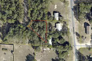 47 Cedar Hl Ct, Defuniak Springs, FL 32433 - Photo 36
