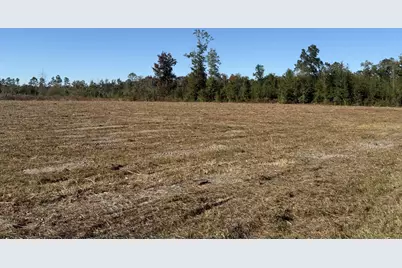 Lot 1 Hwy 71, Wewahitchka, FL 32465 - Photo 1