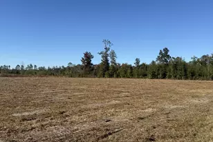 Lot 1 Hwy 71, Wewahitchka, FL 32465 - Photo 1