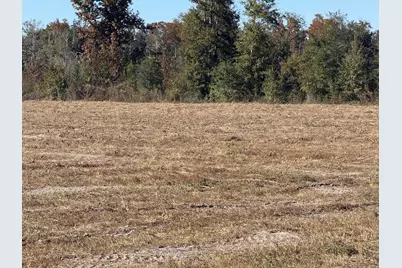 Lot 1 Hwy 71, Wewahitchka, FL 32465 - Photo 4