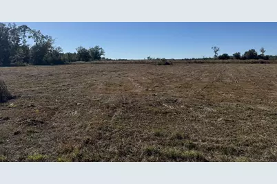Lot 9 Hwy 71, Wewahitchka, FL 32465 - Photo 1