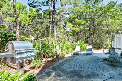 10 Coopersmith Lane, Inlet Beach, FL 32461 - Photo 54