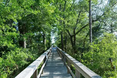 Lot 114 Oak, Freeport, FL 32439 - Photo 6