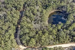 Lot 25 Blue Creek Rd, Ponce de Leon, FL 32455 - Photo 1