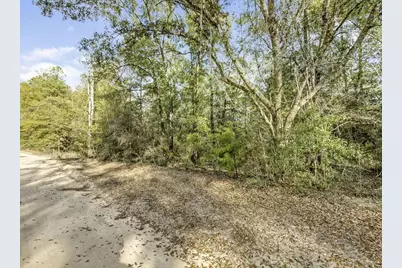 Lot 30 Blue Creek Road, Ponce de Leon, FL 32455 - Photo 4