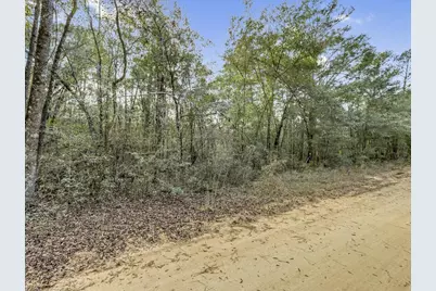 Lot 30 Blue Creek Road, Ponce de Leon, FL 32455 - Photo 6