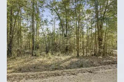 Lot 27 Blue Creek Road, Ponce de Leon, FL 32455 - Photo 8