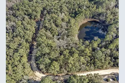 Lot 27 Blue Creek Road, Ponce de Leon, FL 32455 - Photo 2