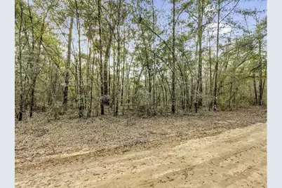 Lot 27 Blue Creek Road, Ponce de Leon, FL 32455 - Photo 10