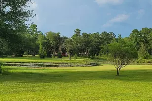 4320 Hwy 79, Vernon, FL 32462 - Photo 44
