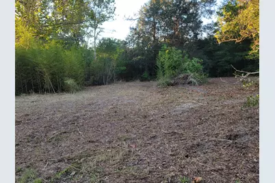 253 Argyle Church Road, Defuniak Springs, FL 32433 - Photo 4
