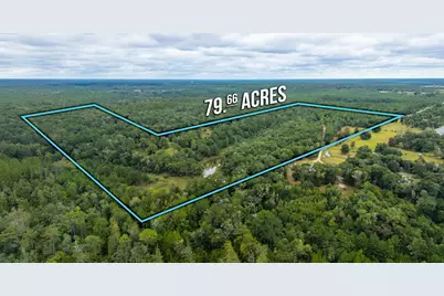 79 Acres Bucking Up Road, Laurel Hill, FL 32567 - Photo 4