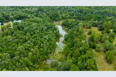 79 Acres Bucking Up Road, Laurel Hill, FL 32567 - Photo 8